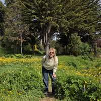 Silvina nelida Jocano