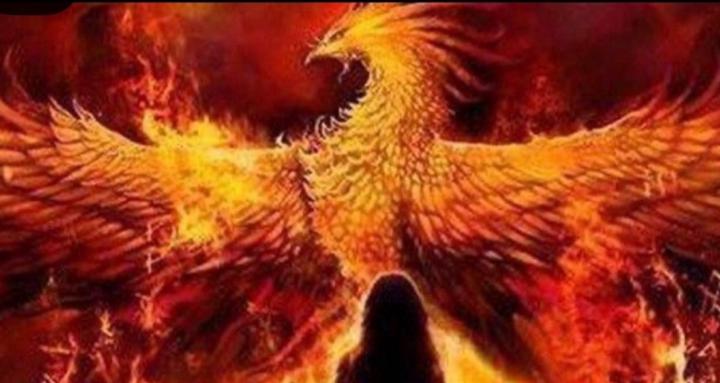 The Reclamation Room ❤️‍🔥