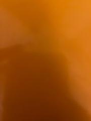 Anita Dr. Bódi-Somossy