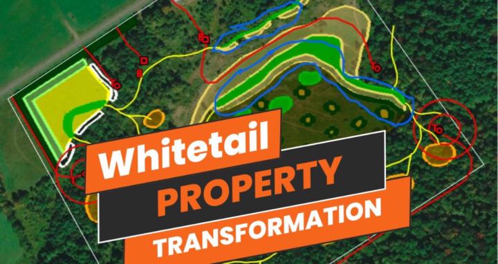 Whitetail Habitat and Hunting
