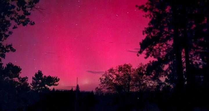 Audience Auction Heroes