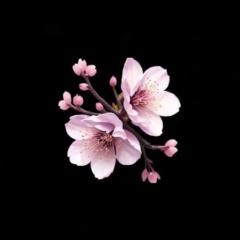 Jerusalén Hormazabal