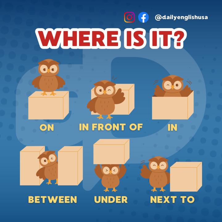 WHERE IS IT? 🦉