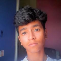 Manvik D