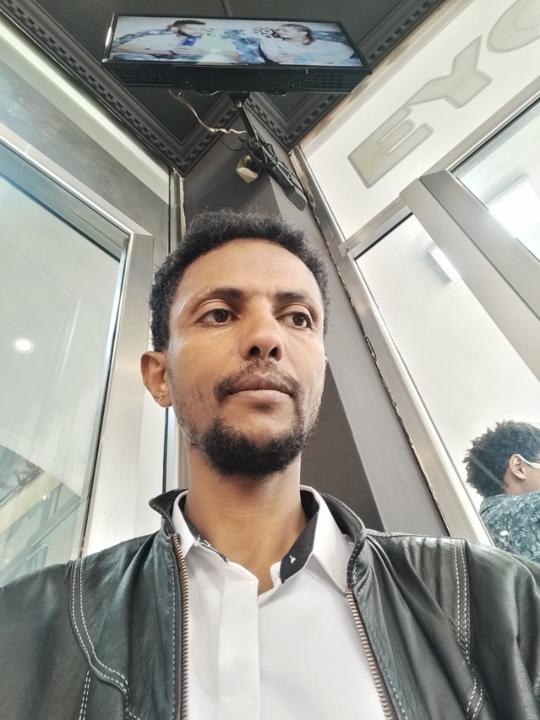 Bereket Haileselassie