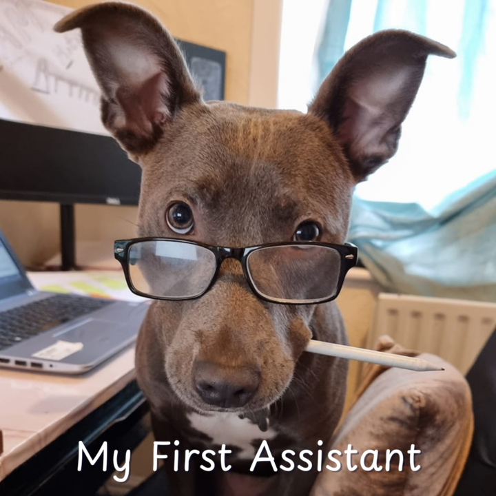My First Assistant…