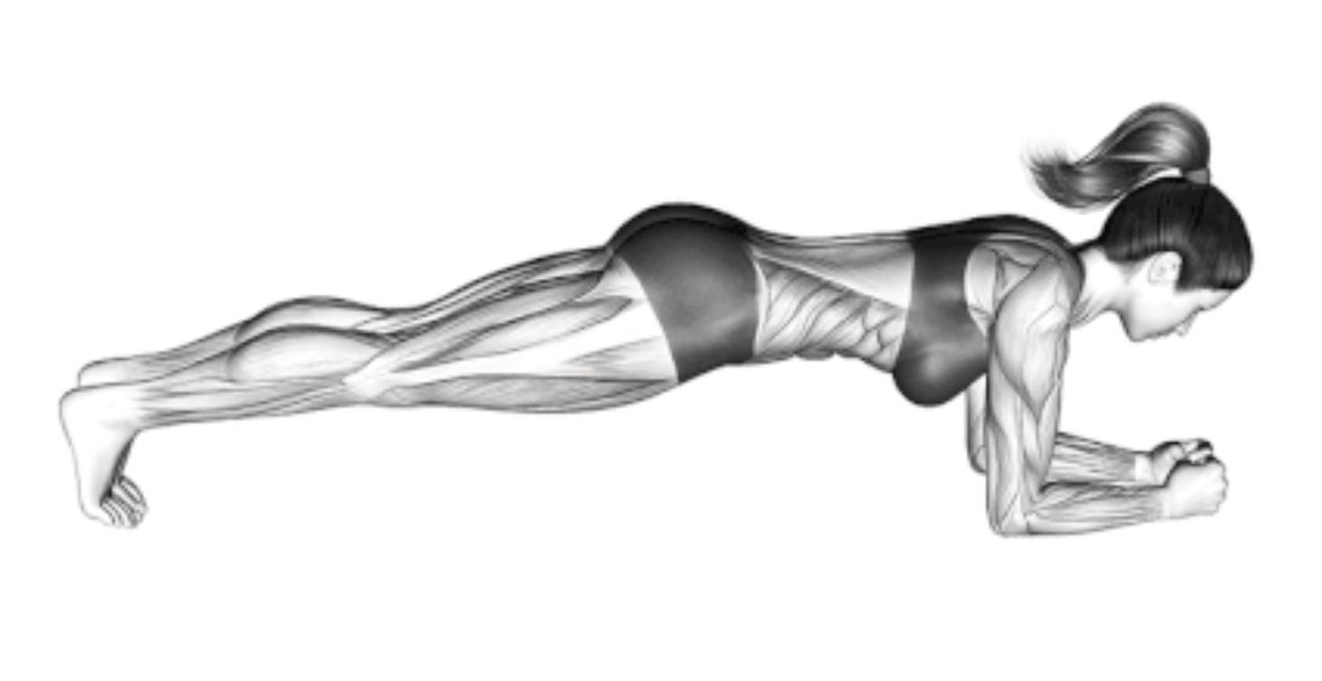 Lesson 3: Day 5 - Core and Stability