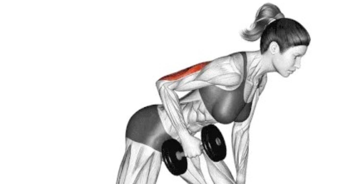 Lesson 1: Day 1-Upper Body Strength (Progression)