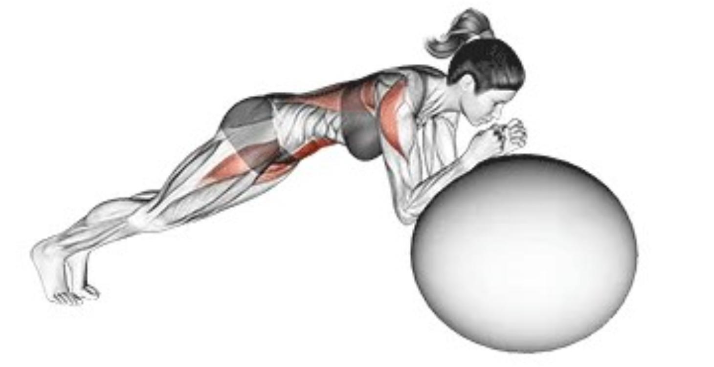 Lesson 2: Day 2 - Core Stability (Progression)