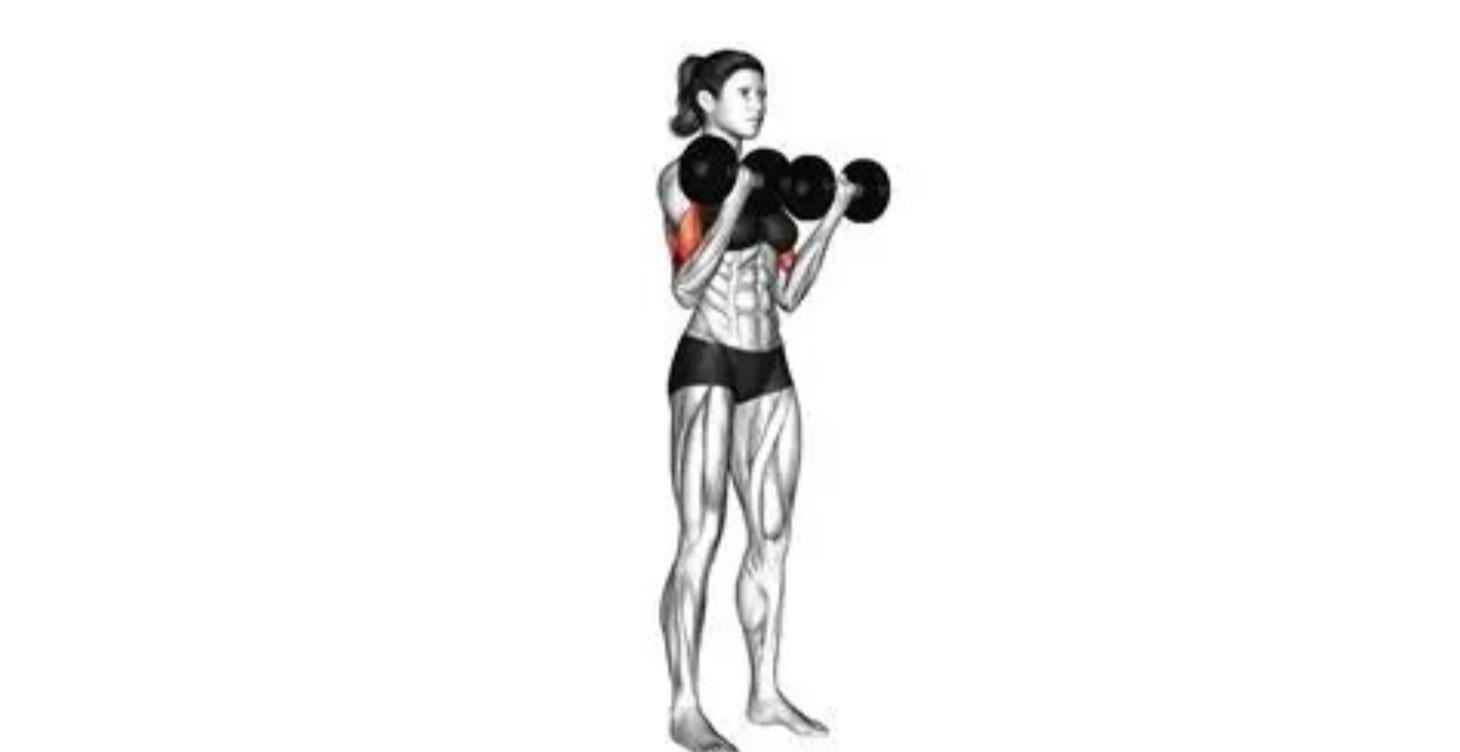 Lesson 1: Day 1 - Upper Body