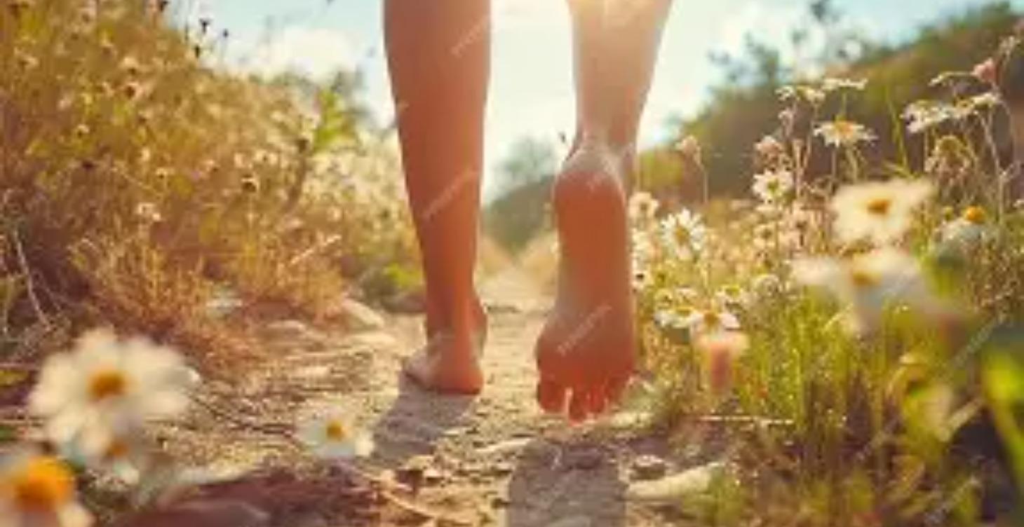 Daily Movement Made Simple