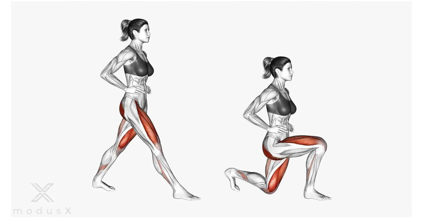 Lesson 2: Day 2-Lower Body Strength (Progression)