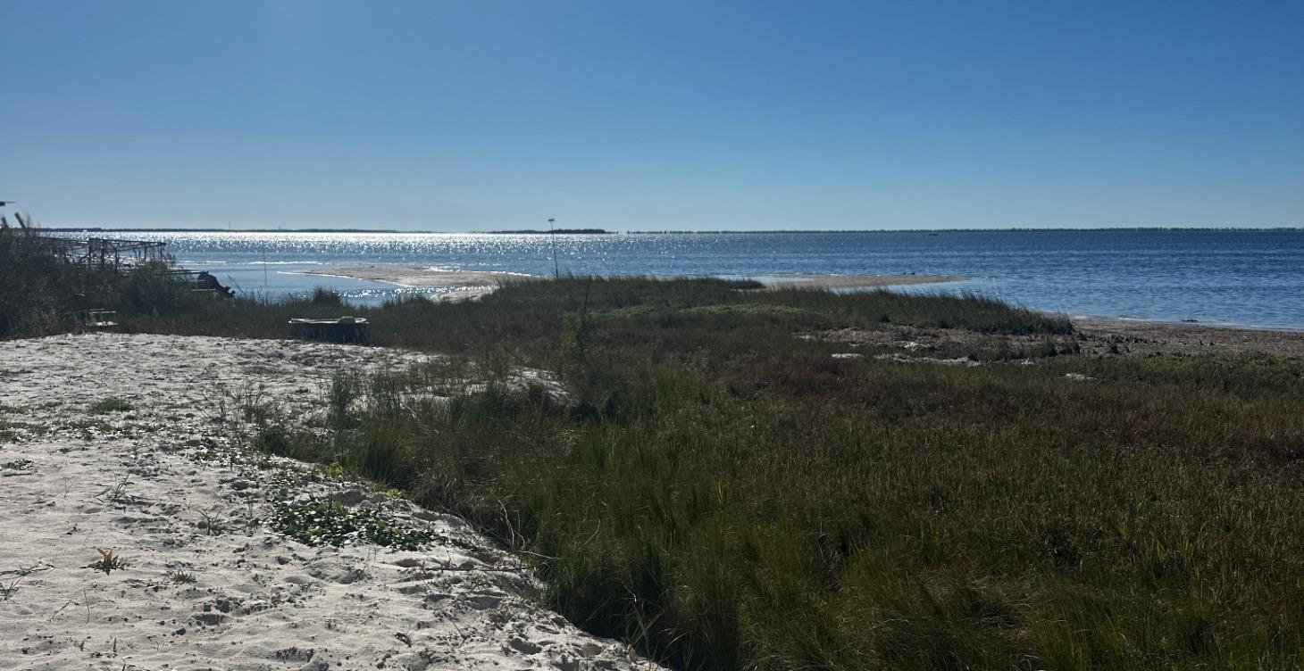 Gratitude Journaling/Scripting-audios and lesson