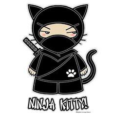 Ninja Kitty