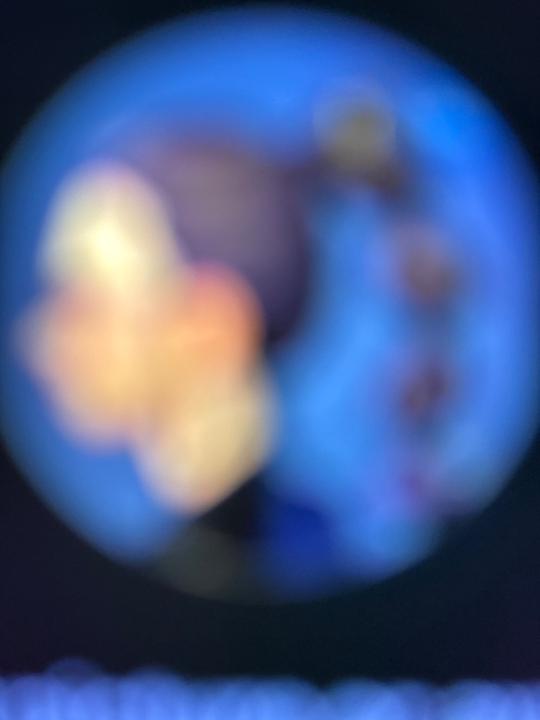 B C
