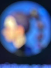 B C