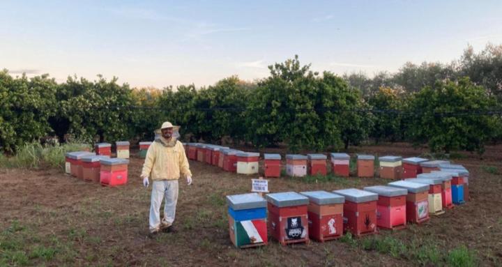 Just an Italian Beekeeper