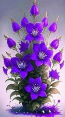 Лувсан Болор