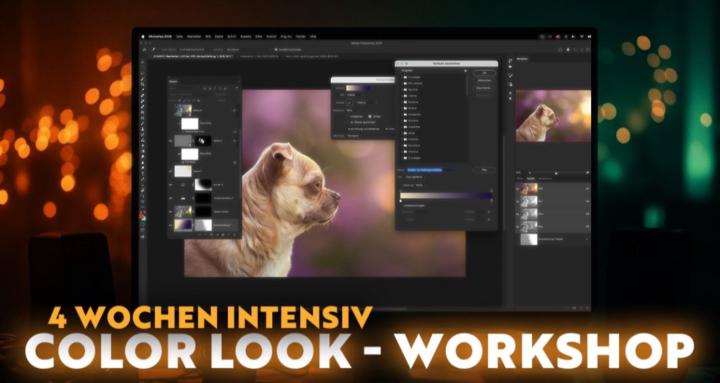 Color-Look-Workshop