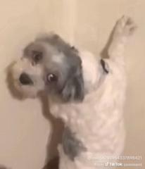 J D