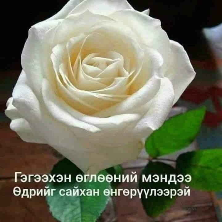 Ayguli Sagidoldoi