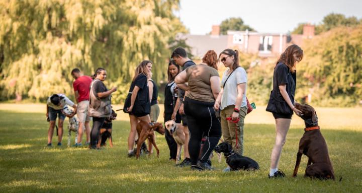 LNC Canine Club