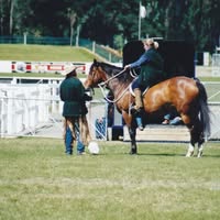 Wendy Greaves