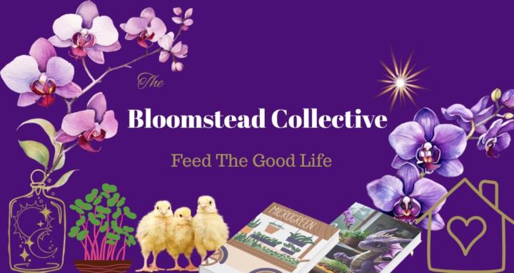 The Bloomstead Collective