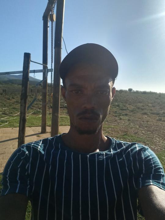Ricardo Helmie