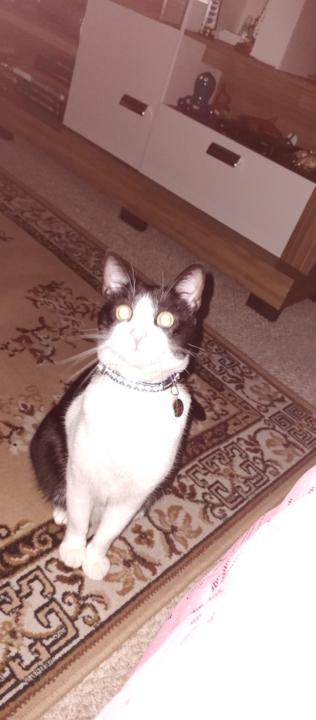 Juan Pablo Duarte Carranza