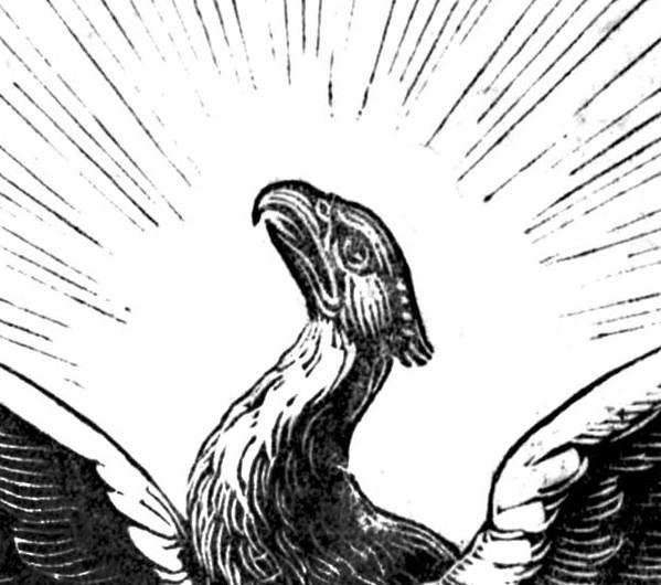 Juan José Fair Alarcon