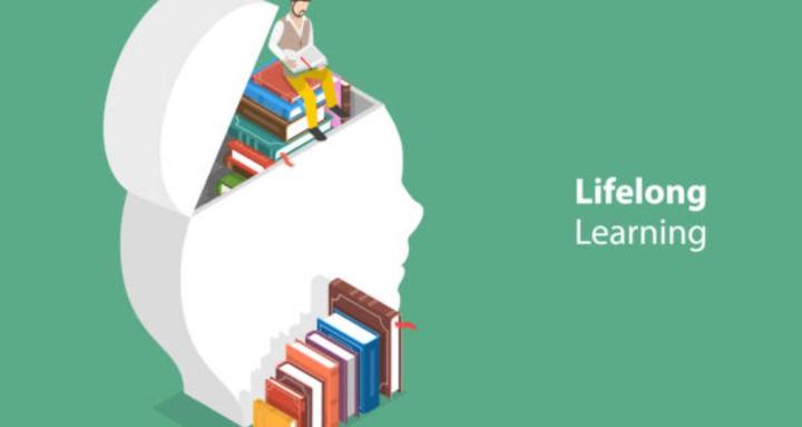 Lifelong Learning with Larissa