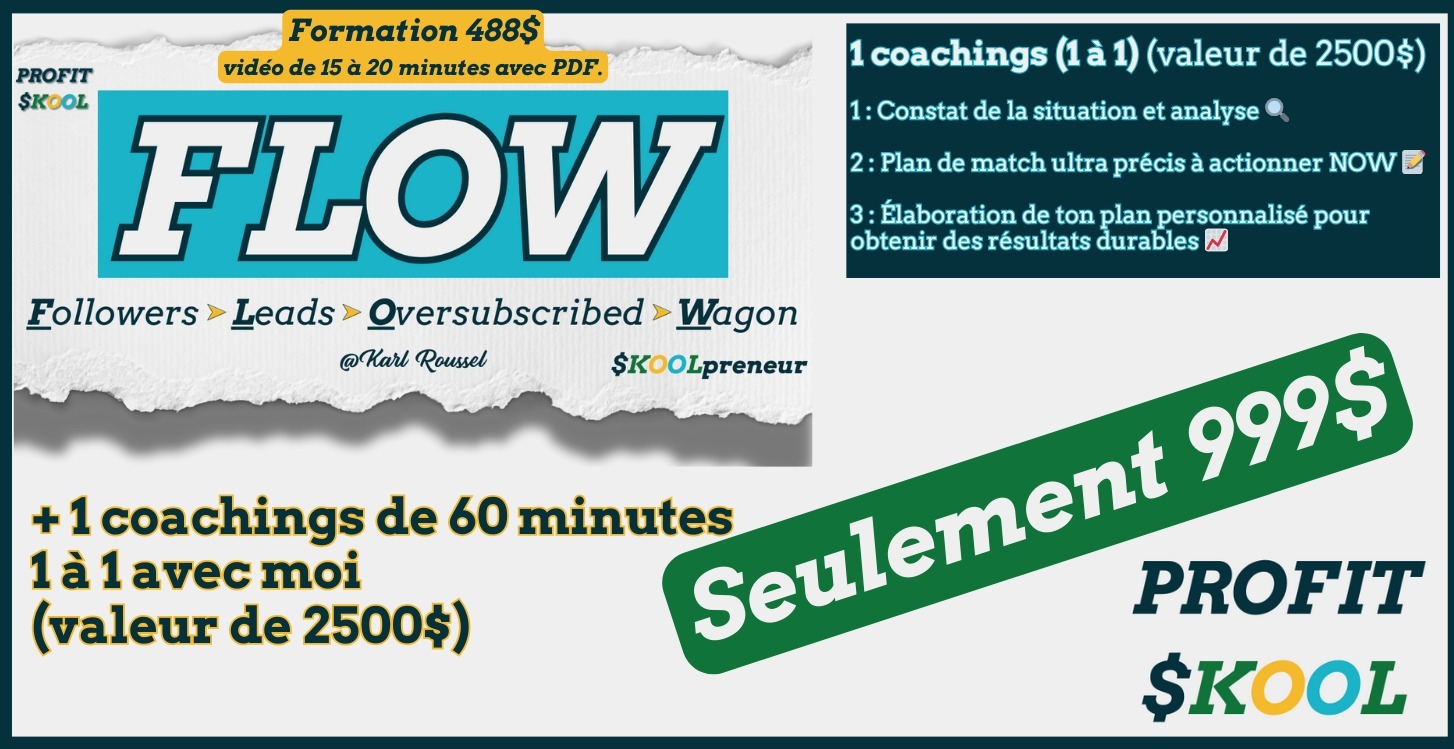 Coaching 1 à 1 avec Karl ET la formation FLOW!