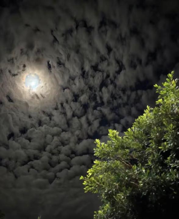 خلود العتيبي