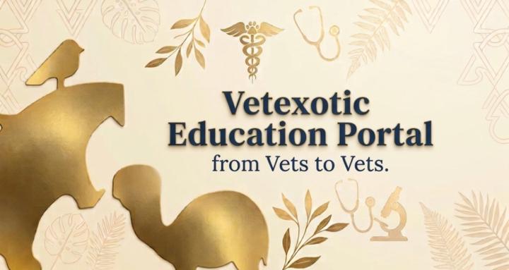 VetExotic Education