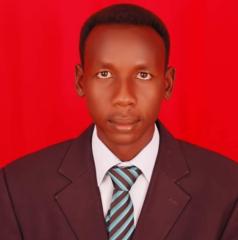 Ali Ibrahim