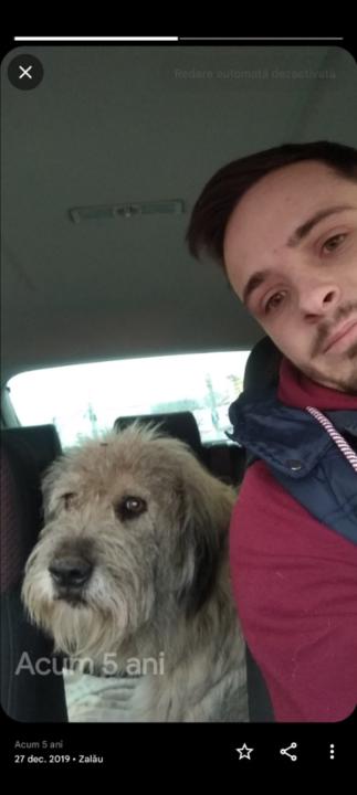 Bogdan Andrei Vereș