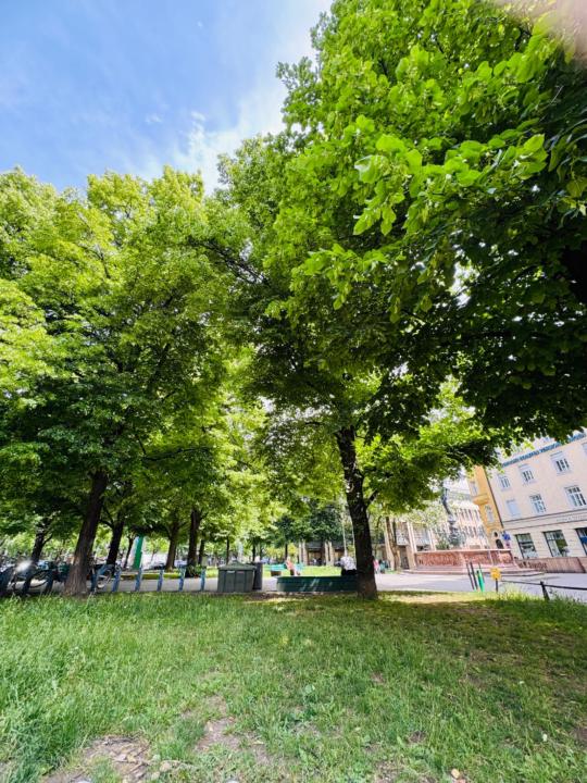 Mohammad idrees Siddiq