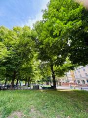 Mohammad idrees Siddiq