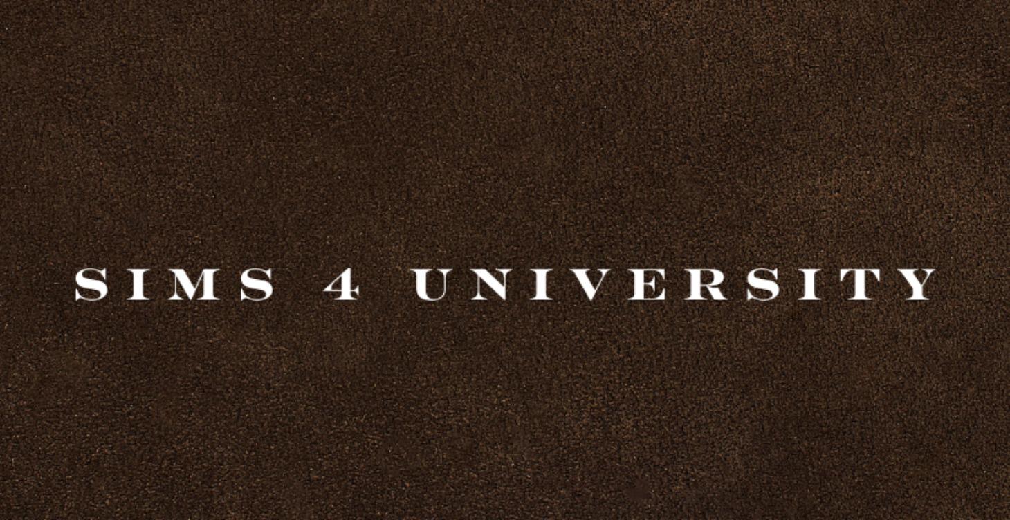 Sims 4 University