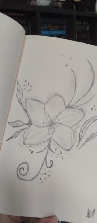 Jasmin N. U.