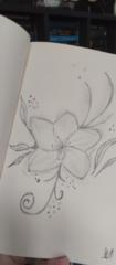 Jasmin N. U.