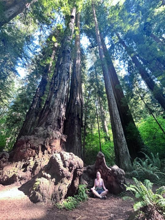 Ashley VanGraafeiland