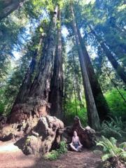 Ashley VanGraafeiland