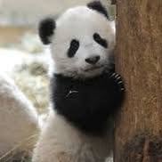 Gloristine Uzzle-reynard