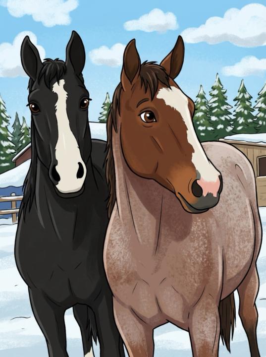 Marie-claude Bergeron