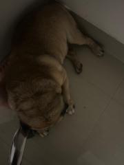 Sara Roalcaba garcia