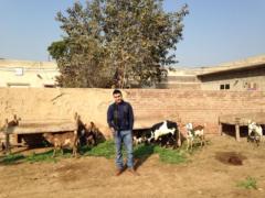 Umair Saeed