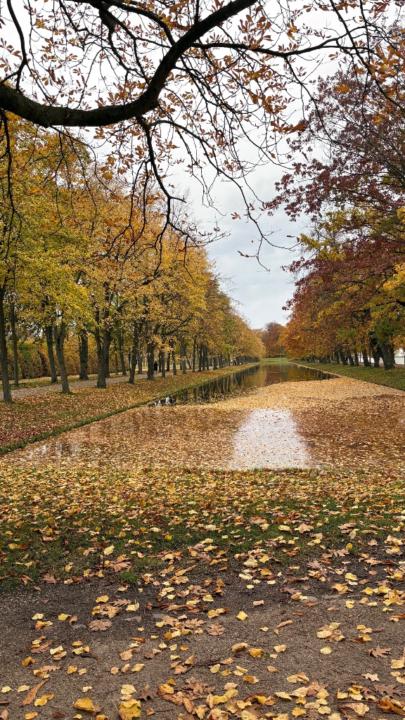 S.Damla Yılankırkan