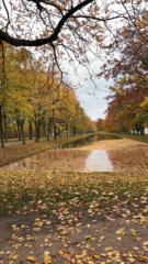 S.Damla Yılankırkan